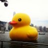 RN-NF_0406 的头像