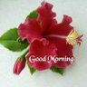 Talkeshwar Prasad Verma 的头像