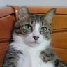 ぜろの会 的头像