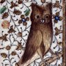 Фото профиля Irritable Owl