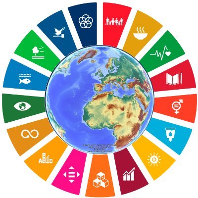digimaps's profile picture