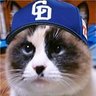 ちょこすけ🍀's profile picture