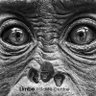 Limbe Wildlife Centre's profile picture