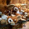 カナカナ profil fotoğrafı