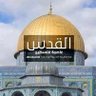 أبو منصور شيخا 的头像