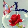 lyly profil fotoğrafı