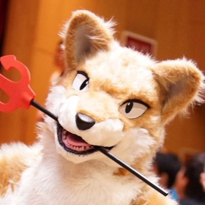 1wanko's profile picture