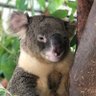 Burapohnlada's profile picture
