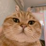 jcgta0974's profile picture