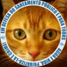 Tim Rabhei's profile picture