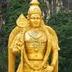 Shekar R's profile picture