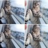 Francis profil fotoğrafı