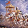 Pradeep S's profile picture