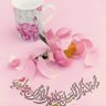 Фото профиля ام عمر المختار