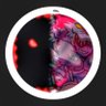 Profilbild von Thedarkcity