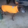 Susie !'s profile picture