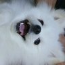 Profilbild von T1_JiPa