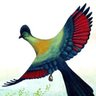 knysnalurie profil fotoğrafı