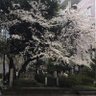 キヨタ長岡 的头像