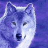 Profilbild von Blue Wolf