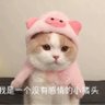 Фото профиля 烟雨敌敌畏