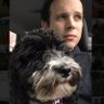 Josh's profile picture