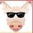 Profilbild von 殘破落葉