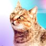 Фото профиля ひまねこ