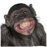 zhang yu huan's profile picture