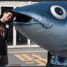 witlovesw2555's profile picture