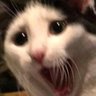 Profilbild von SlayerErix
