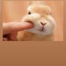 🐣KJN🎸🦈 profil fotoğrafı