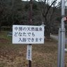 桃青に～な profil fotoğrafı