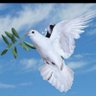مالك الكربلائي 的头像