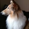 uriah's profile picture