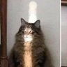 Фото профиля Jay says hi