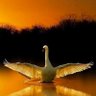 huda profil fotoğrafı