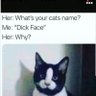 NWT profil fotoğrafı