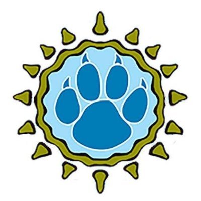 dogsinapileband's profile picture