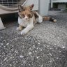 おもち's profile picture