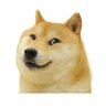 slow doge's profile picture