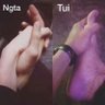 Bảo Bảo profil fotoğrafı