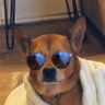 Profilbild von CaptainStu