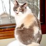 Tina davidson's profile picture