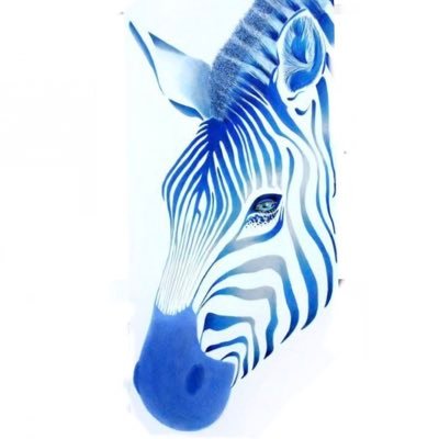 シマウマFX大学's profile picture