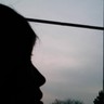 Rhino's profile picture