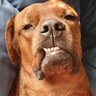MrDetonia's profile picture