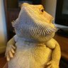 anem0s's profile picture