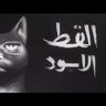 القط الاسود profil fotoğrafı