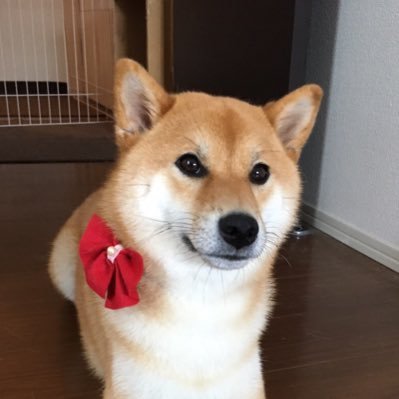 おはぎのはぎ's profile picture